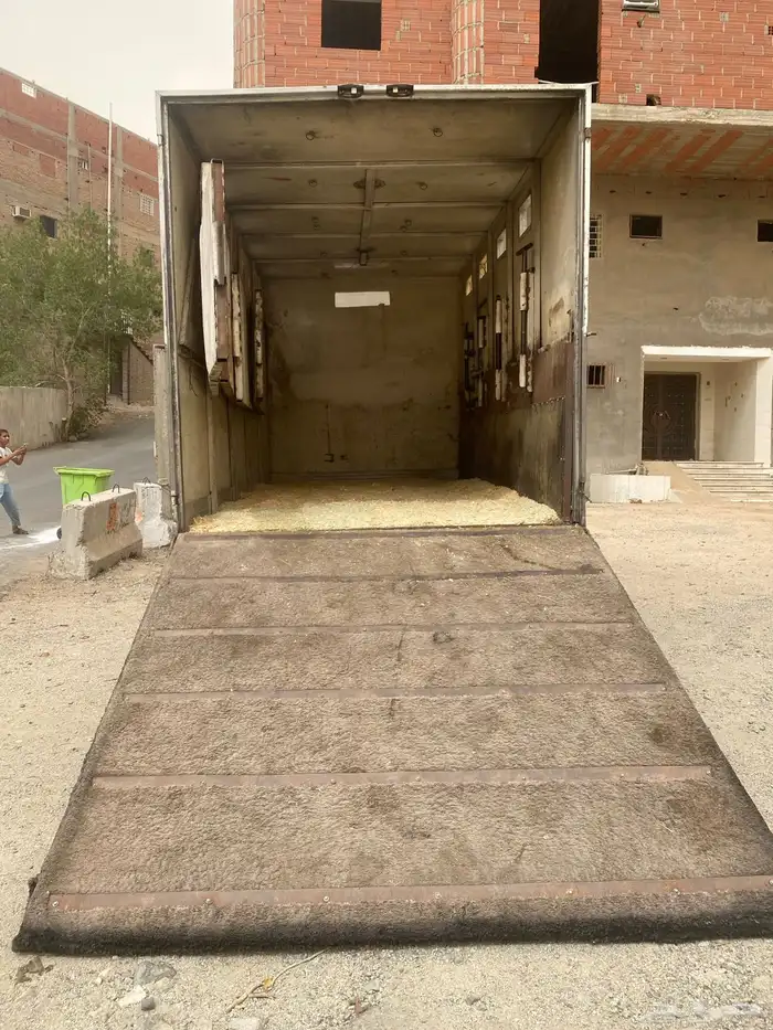 دينه نقل خيل من مكه الى جده إلى أنحاء المملكة تحطيم الأسعار 3