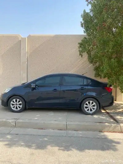 ريو 2013 0