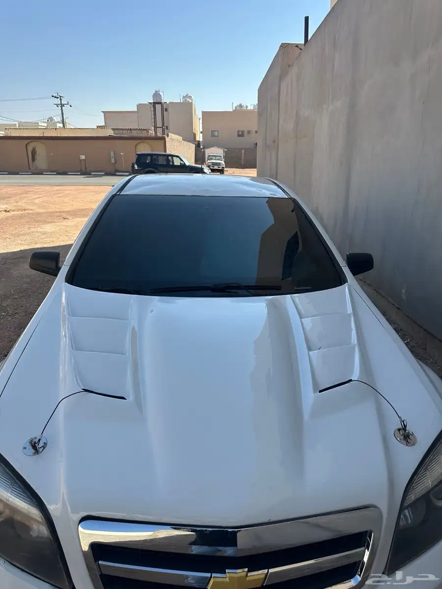 كبوت كابرس مخفف القفاري نظيف مثل منت شايف كان اسود ورشيته ا 2