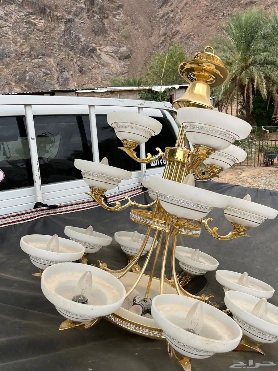 للبيع لبه ثرياء على الشرط 0