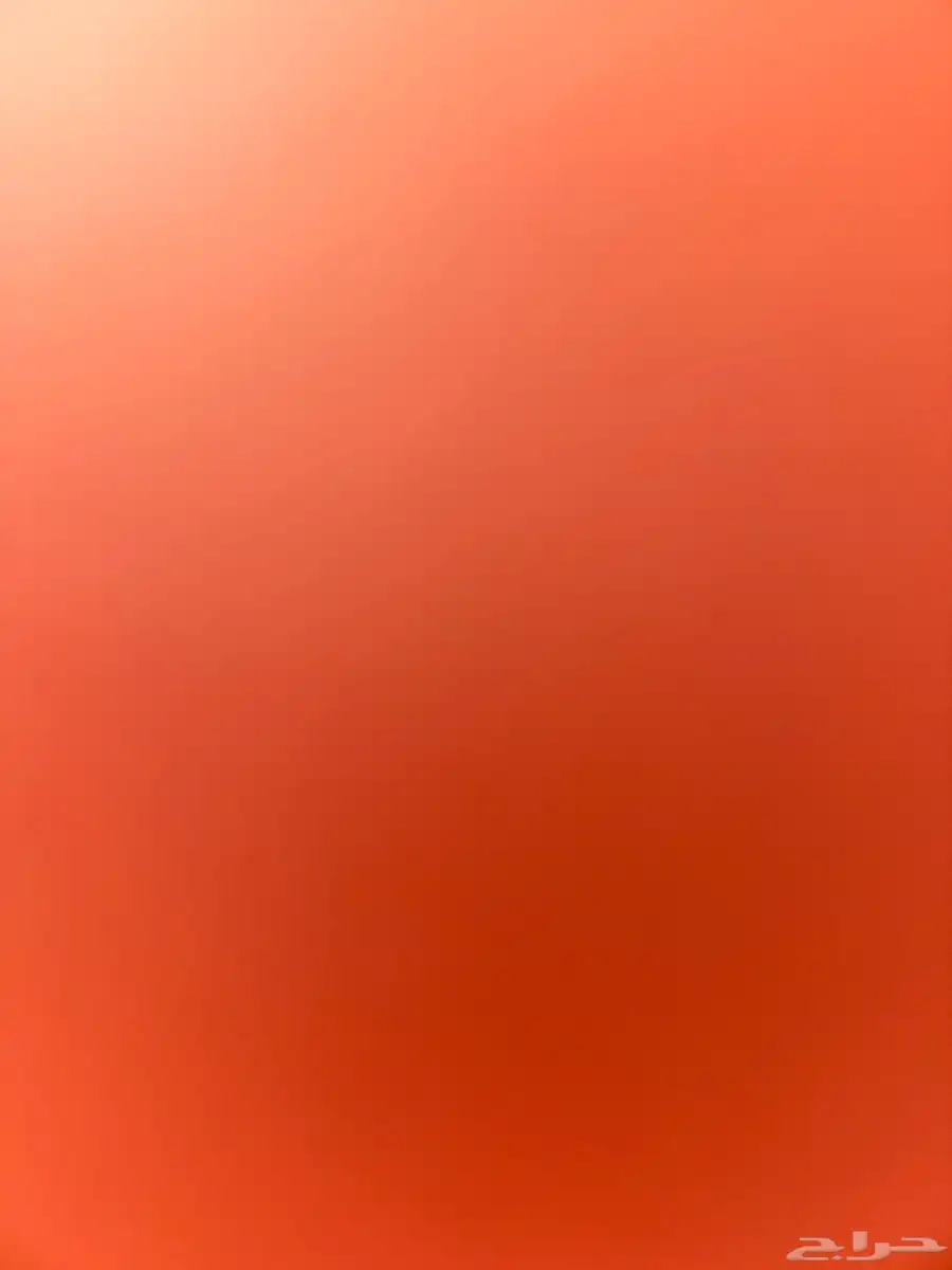 الي عنده كلب للتبني اهم شي يكون اليف يتواصل معي 0