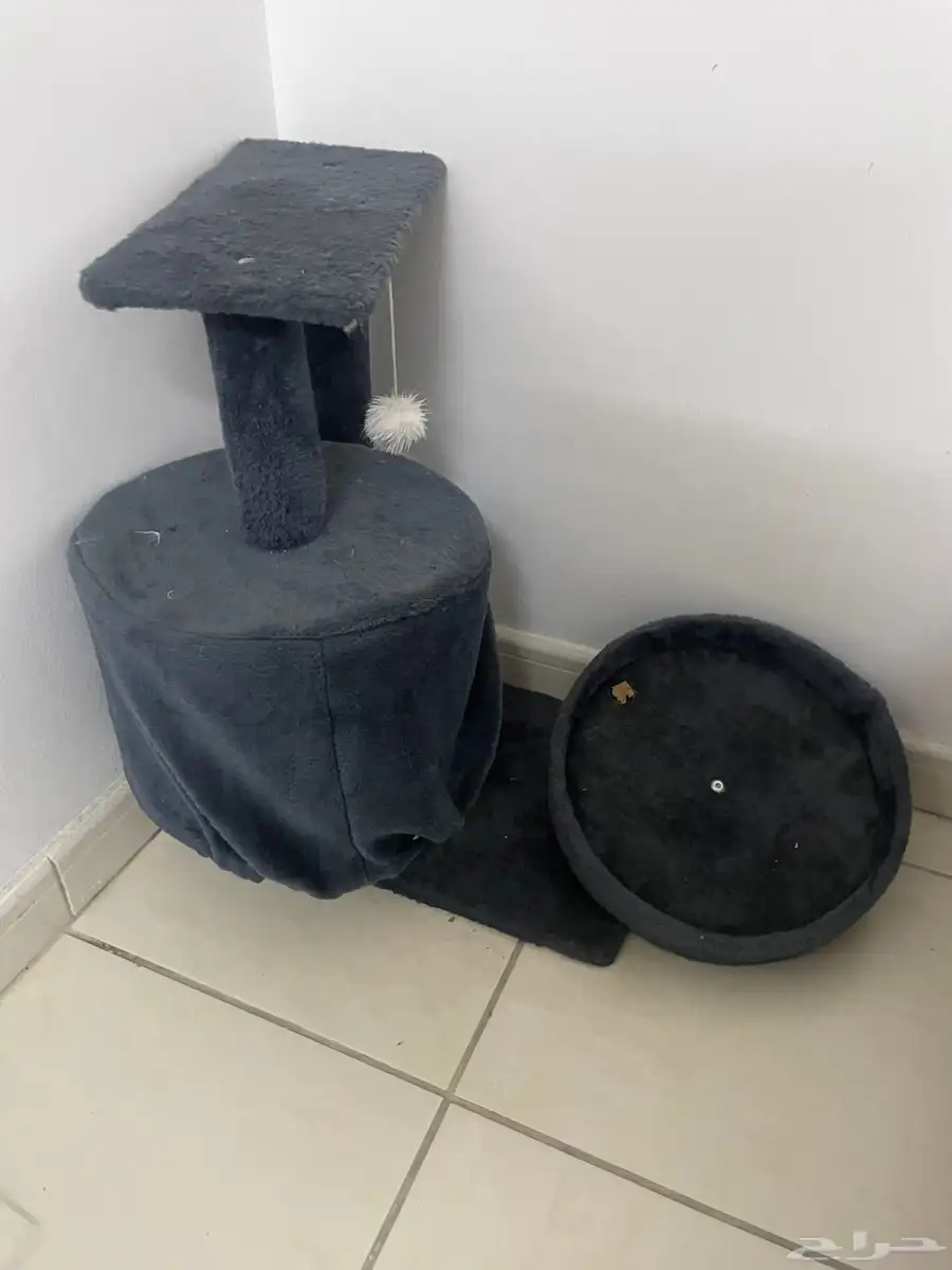 مستلزمات قطط مستعملة 2