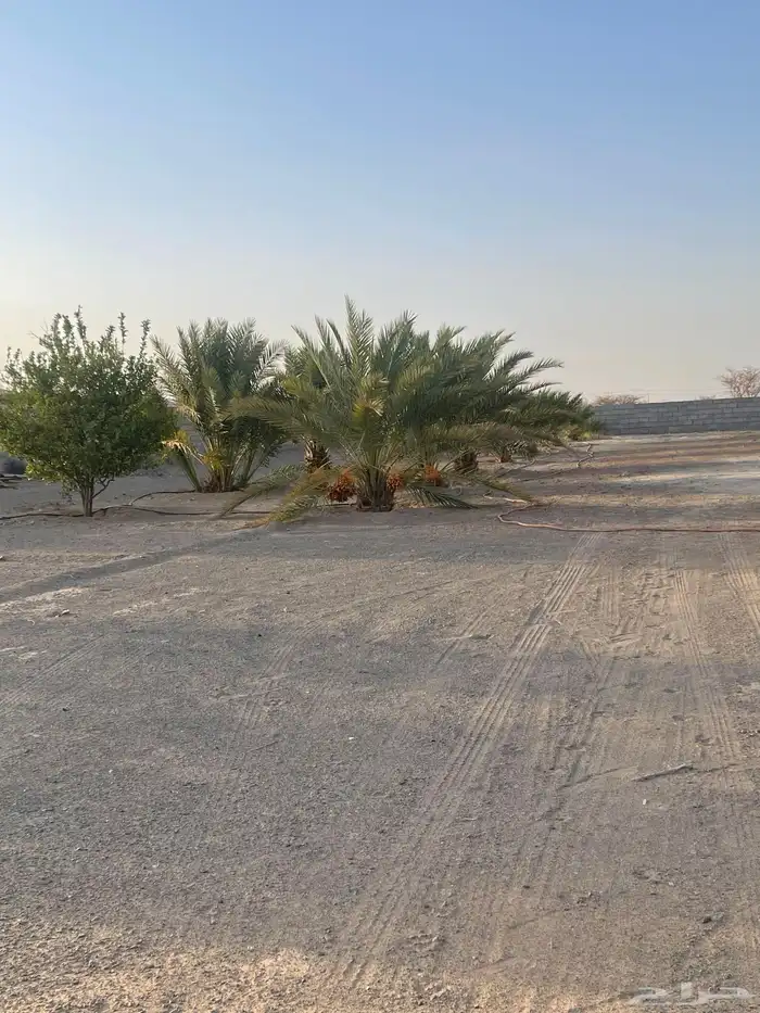 استراحه للإيجار الشهري 7