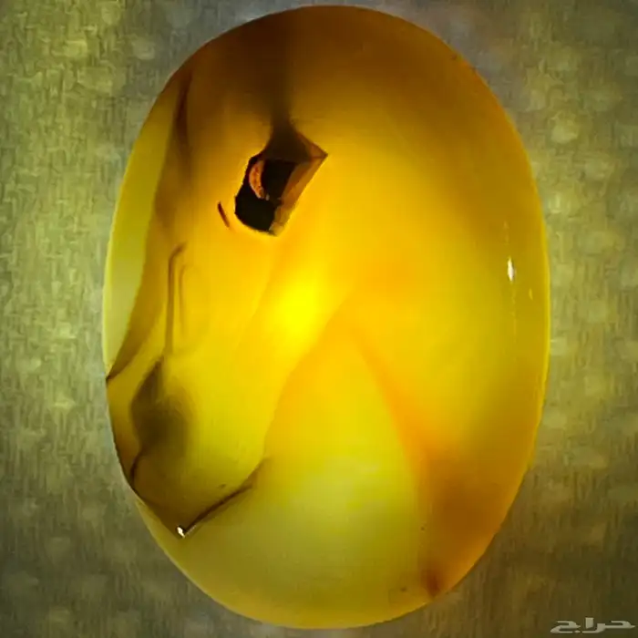 حجر عقيق مصور خيل 2
