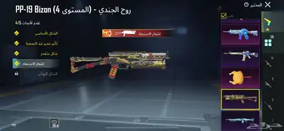 حساب ببجي للبيع العاجل 22