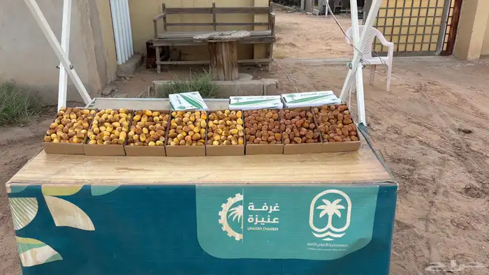 تمر خلاص مناصيف و رطب 0