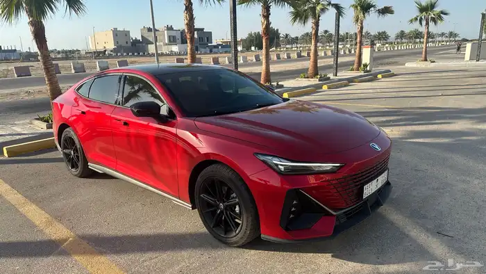 شانجان يوني في 2024 6