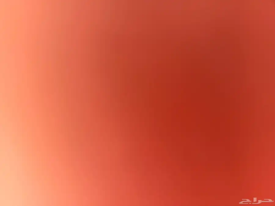 الي عند قط لتبني من عمرشهرين ل3 غير بلدي يكلمني خاص 0