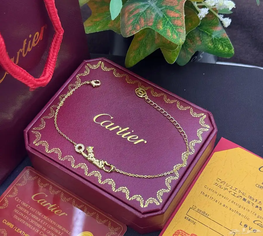 اسوارة كارتير درجة اولى ماستر 2