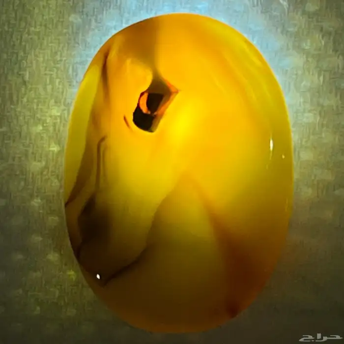 حجر عقيق مصور خيل 1