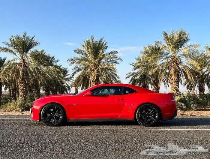 شيفروليه كمارو 2014 Chevrolet Camaro ZL1 ممشي 75 ألف (مخزنة) 3