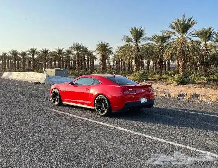 شيفروليه كمارو 2014 Chevrolet Camaro ZL1 ممشي 75 ألف (مخزنة) 4