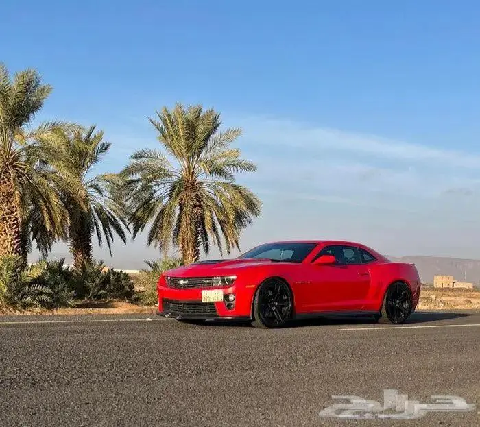شيفروليه كمارو 2014 Chevrolet Camaro ZL1 ممشي 75 ألف (مخزنة) 1