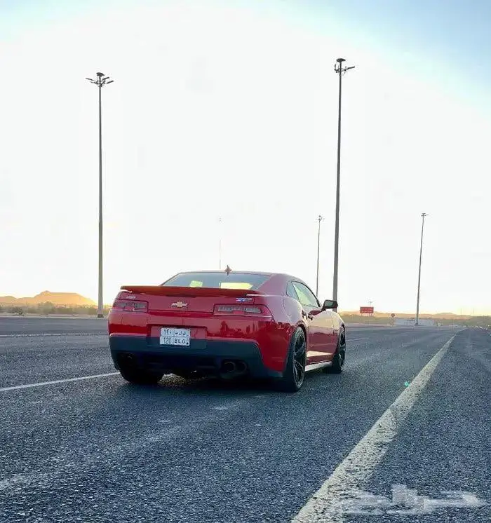 شيفروليه كمارو 2014 Chevrolet Camaro ZL1 ممشي 75 ألف (مخزنة) 6