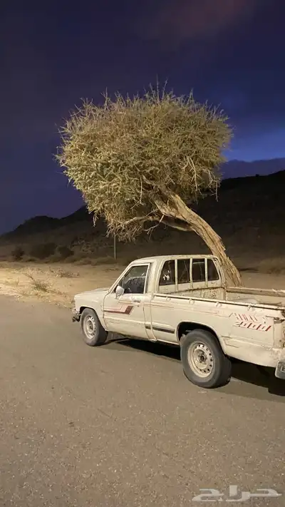 هايلكس 84 0
