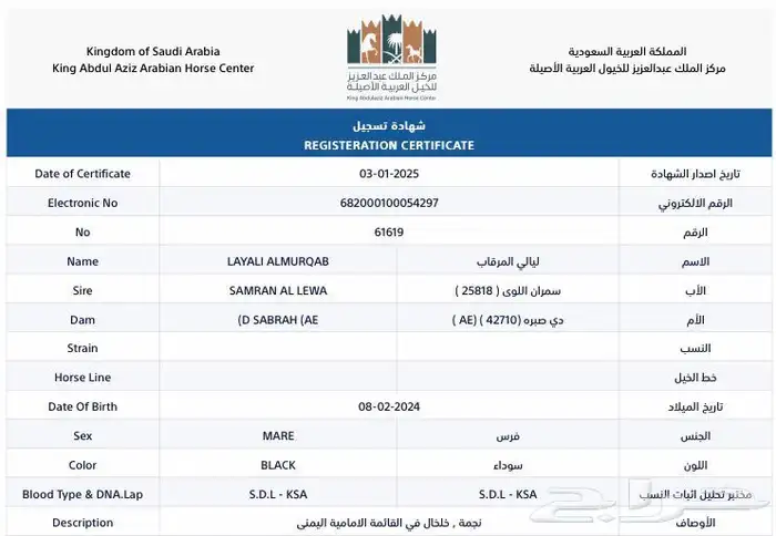 مهره واهو دهماء للبيع 4