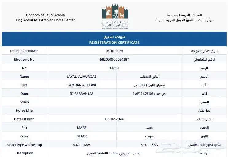 مهره واهو دهماء للبيع index