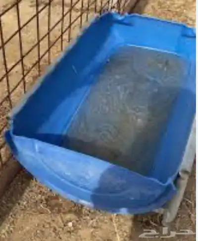 معالف كفرات و حواض ماء 2