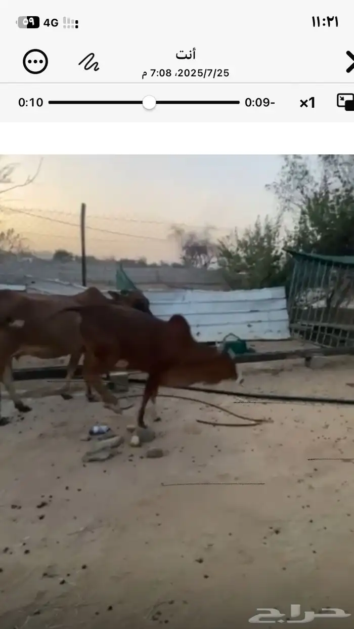 ثلوث المنظر 4