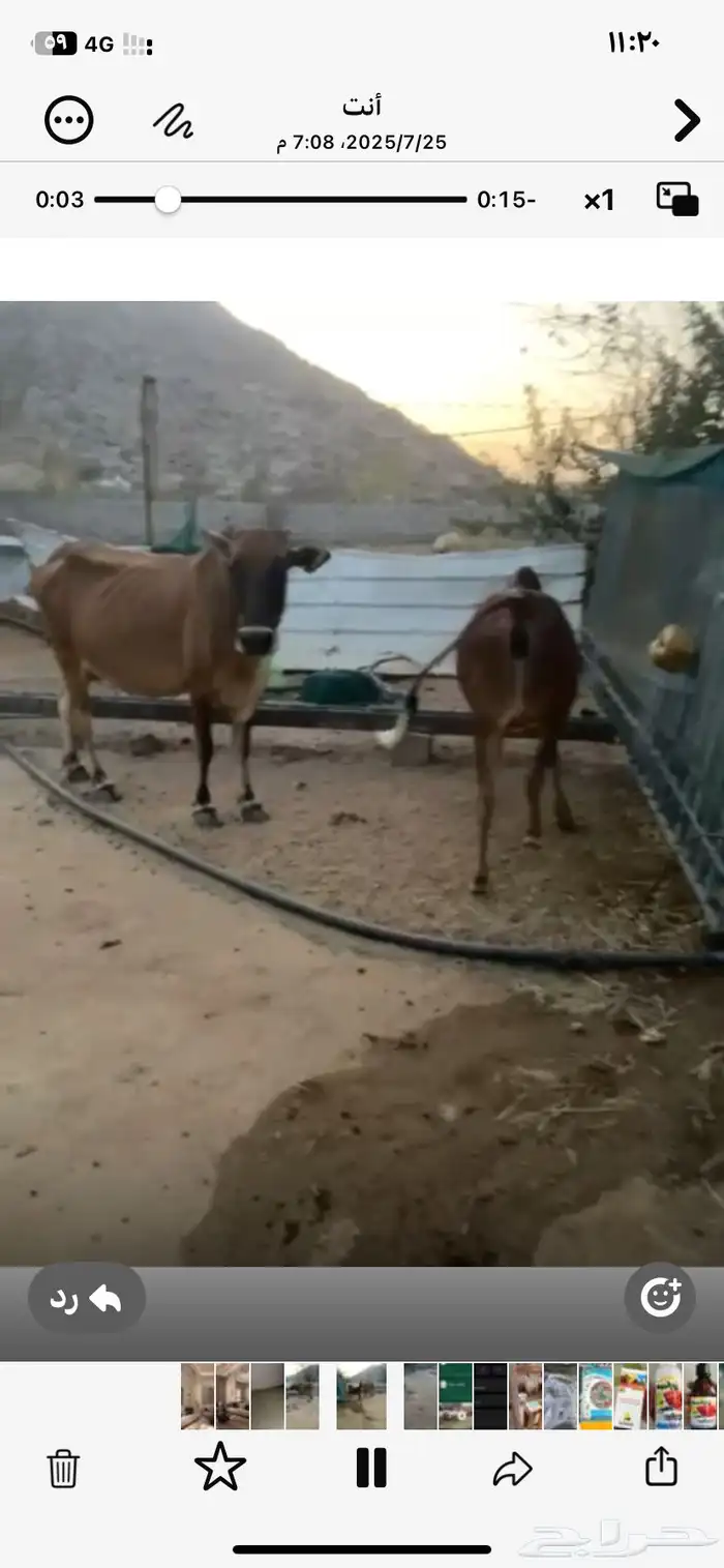 ثلوث المنظر 0