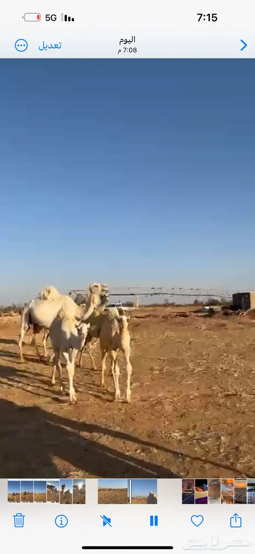 خلفات باتليه ورمانيه الي معهن بكار 1