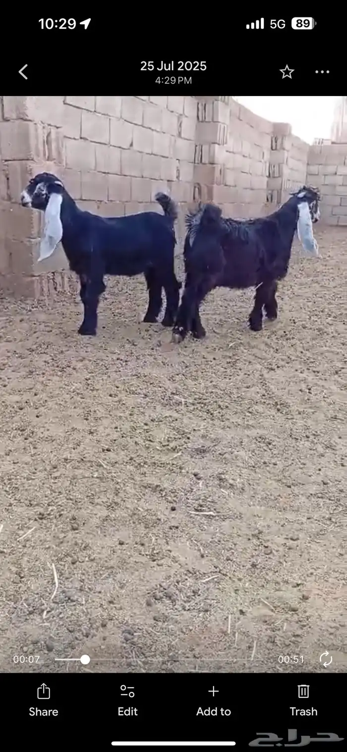 تيسين عوارض معرفات 1