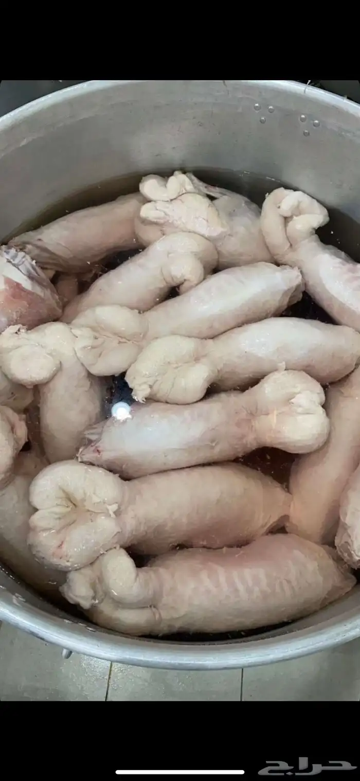 ذبايح بريه حري نعيمي نجدي تيوس يوجد خدمه الذبح والتوصيل 0