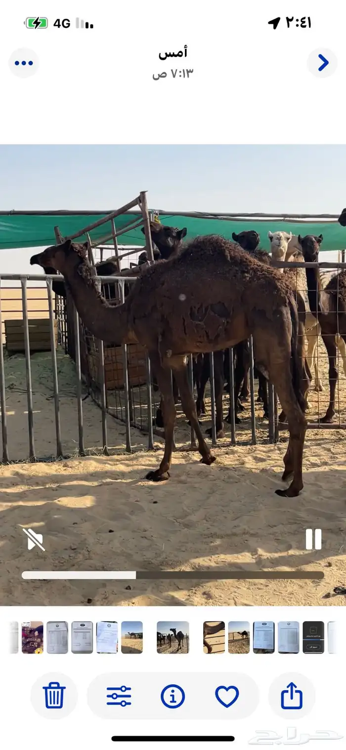 2حقايق 1مفروده للبيع غرب ابو حدريه 0