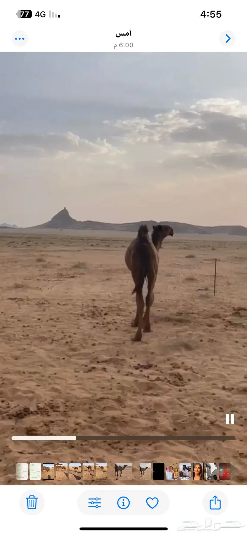 قعود طيب index