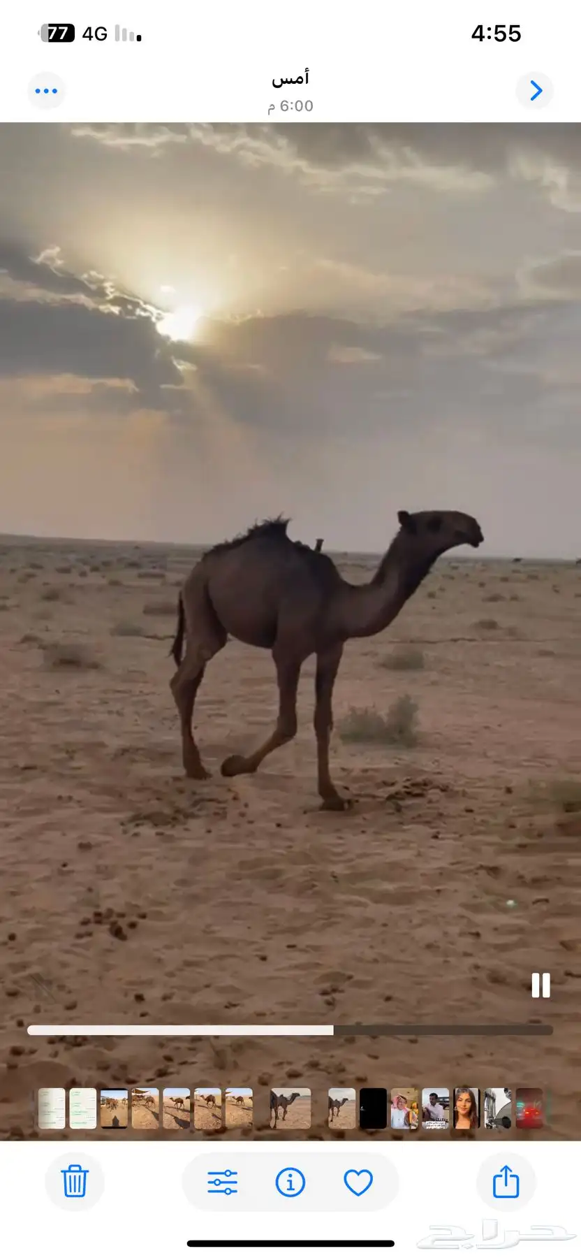 قعود طيب index
