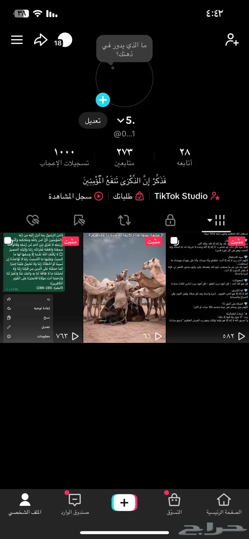 يوزر تيك توك 1 0 0