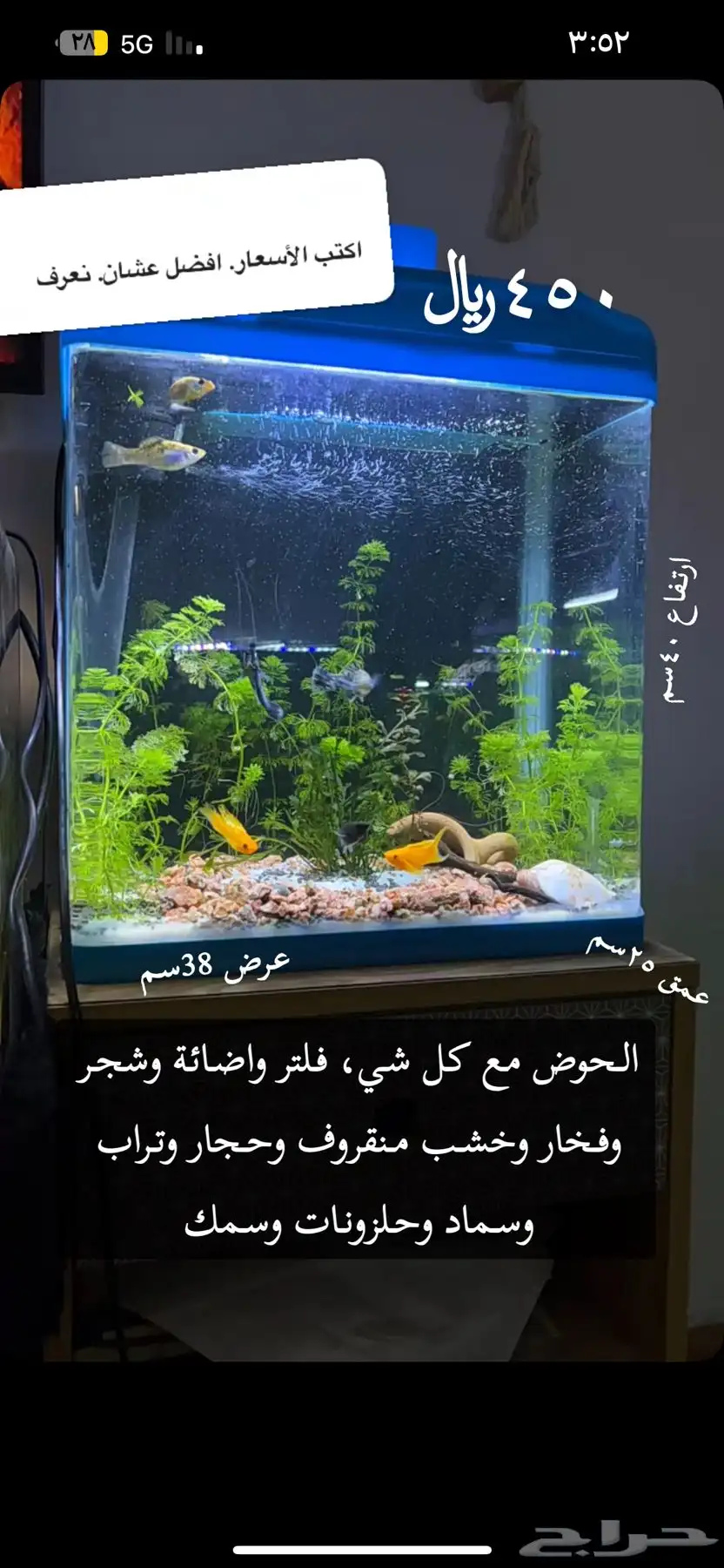 حوض سمك كامل وجاهز بكامل اغراضه 0