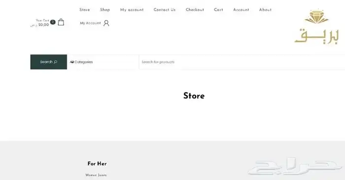 تصميم وبرمجة متجر إلكتروني على سلة - زد - Wordpress 16