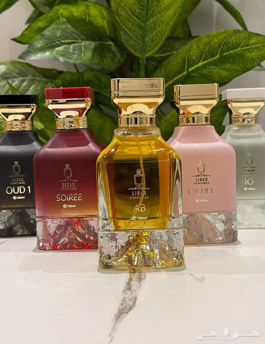 مشروع عطور للبيع بالكامل 0
