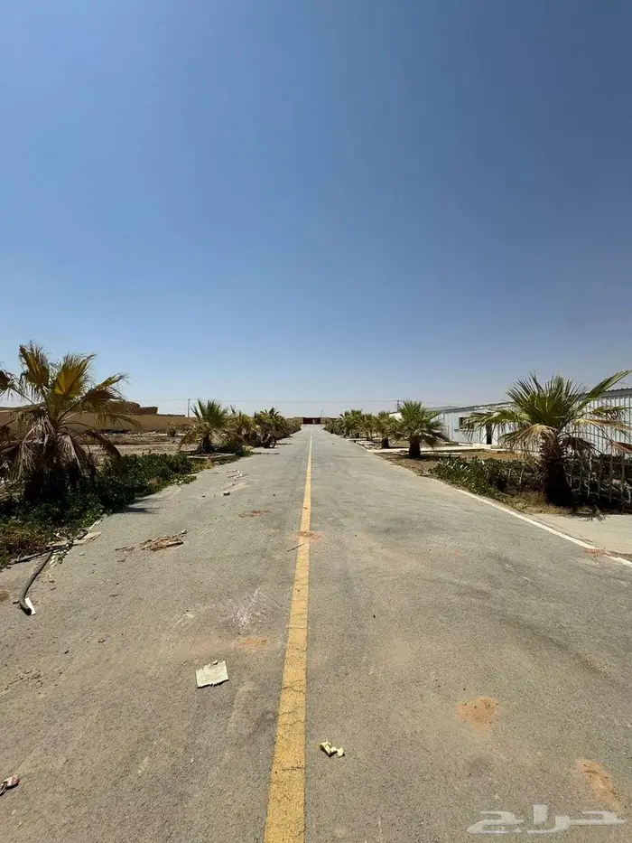 حوش للإيجار - 1550m - A yard for rent 5