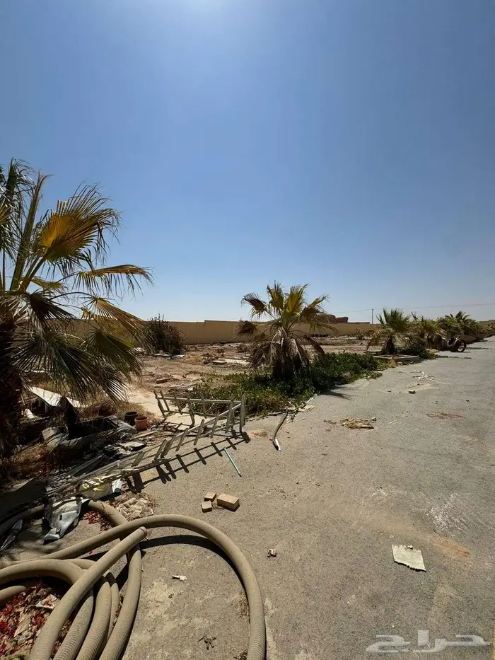 حوش للإيجار - 1550m - A yard for rent 6