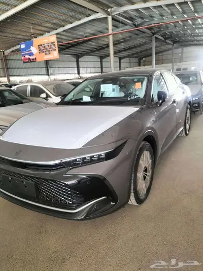 كراون رمادي 2026 3