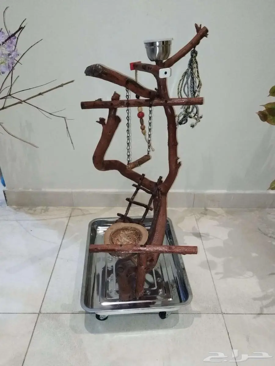 استاند طيور مجثم خشب طبيعي تفصيل 2