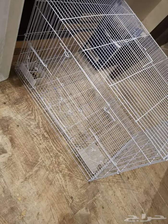 قفص استخدام اسبوع 601 0