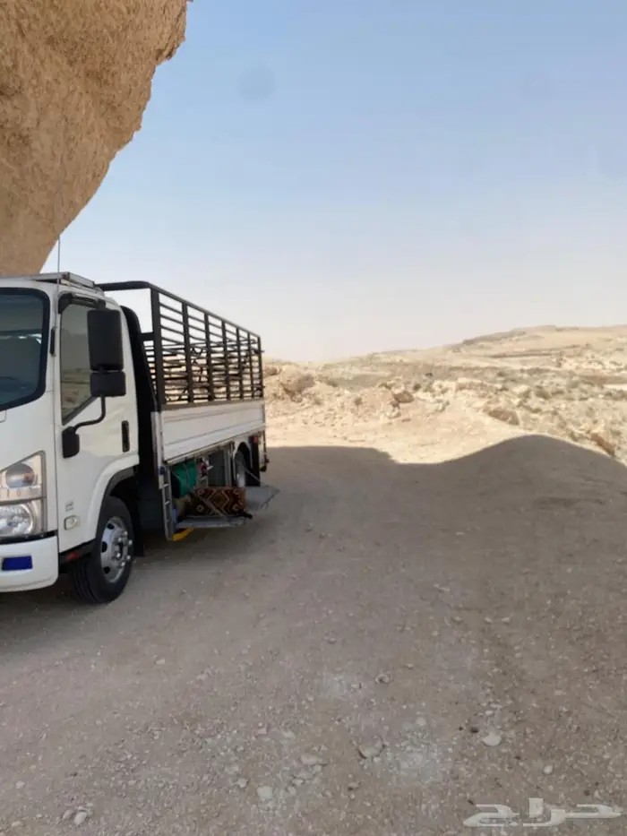 دينا نقل عفش 0