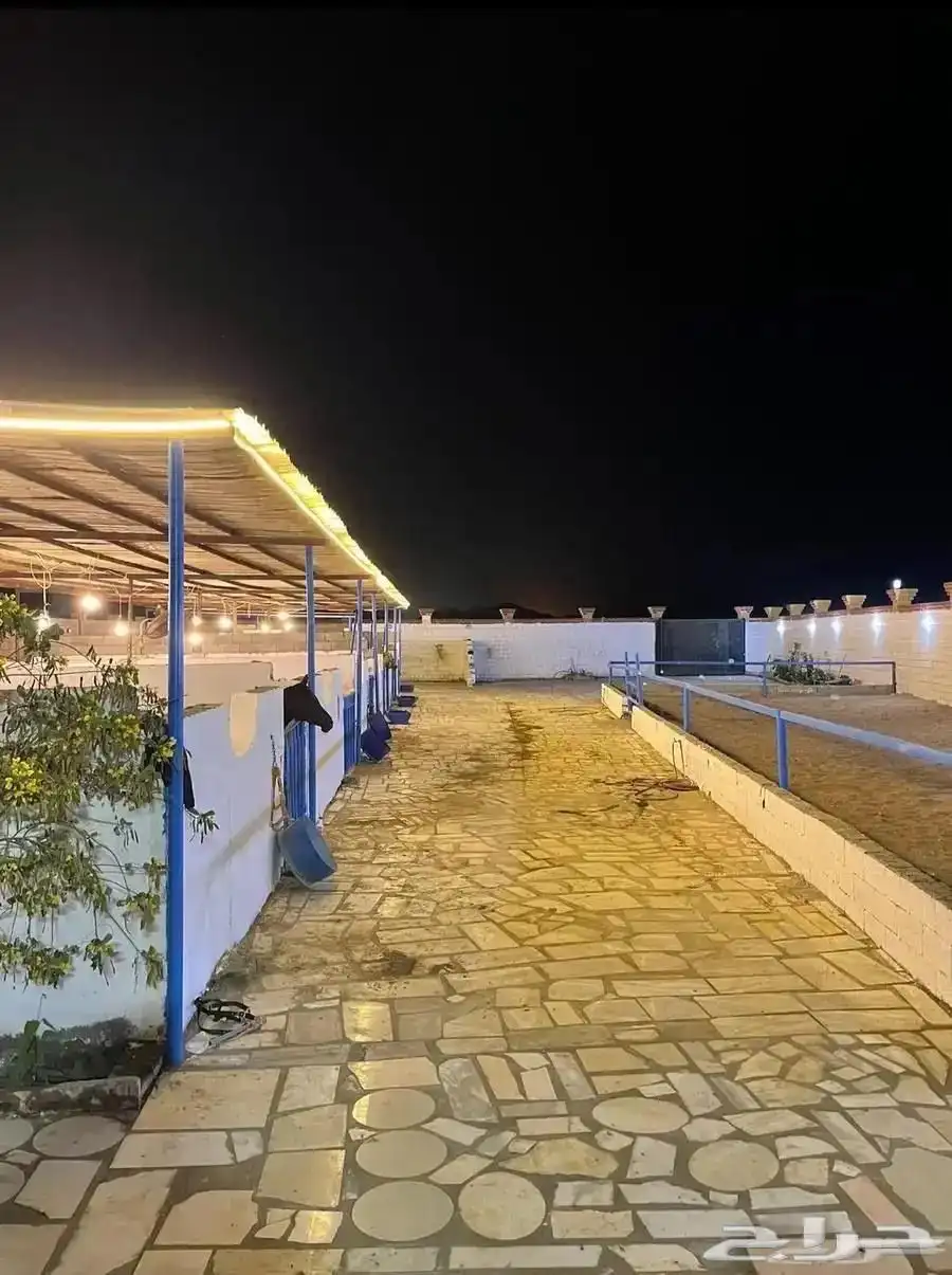 مربط الكيان للإيواء وخدمات الخيل 0