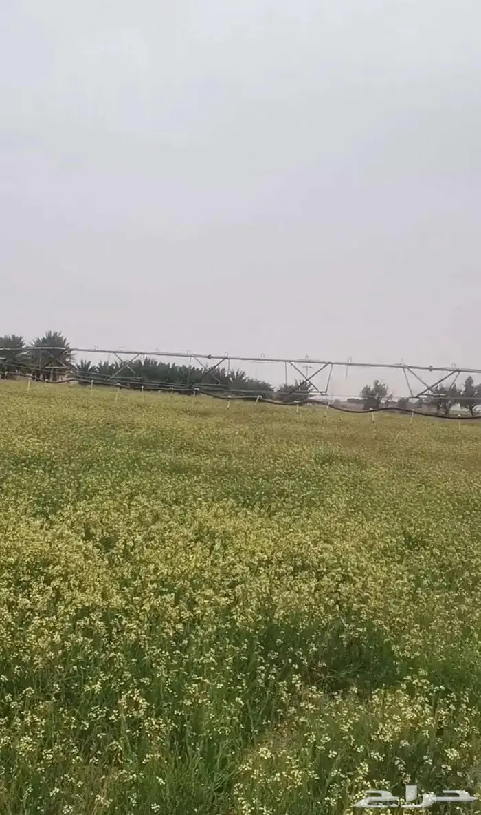 للبيع رشاش وطني برج واحد نظيف 0