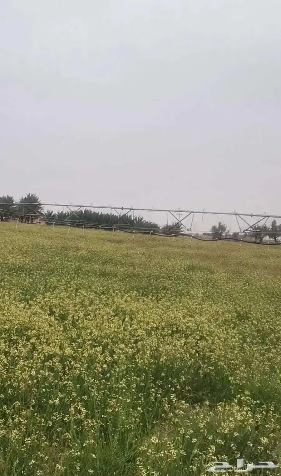 للبيع رشاش وطني برج واحد نظيف 0