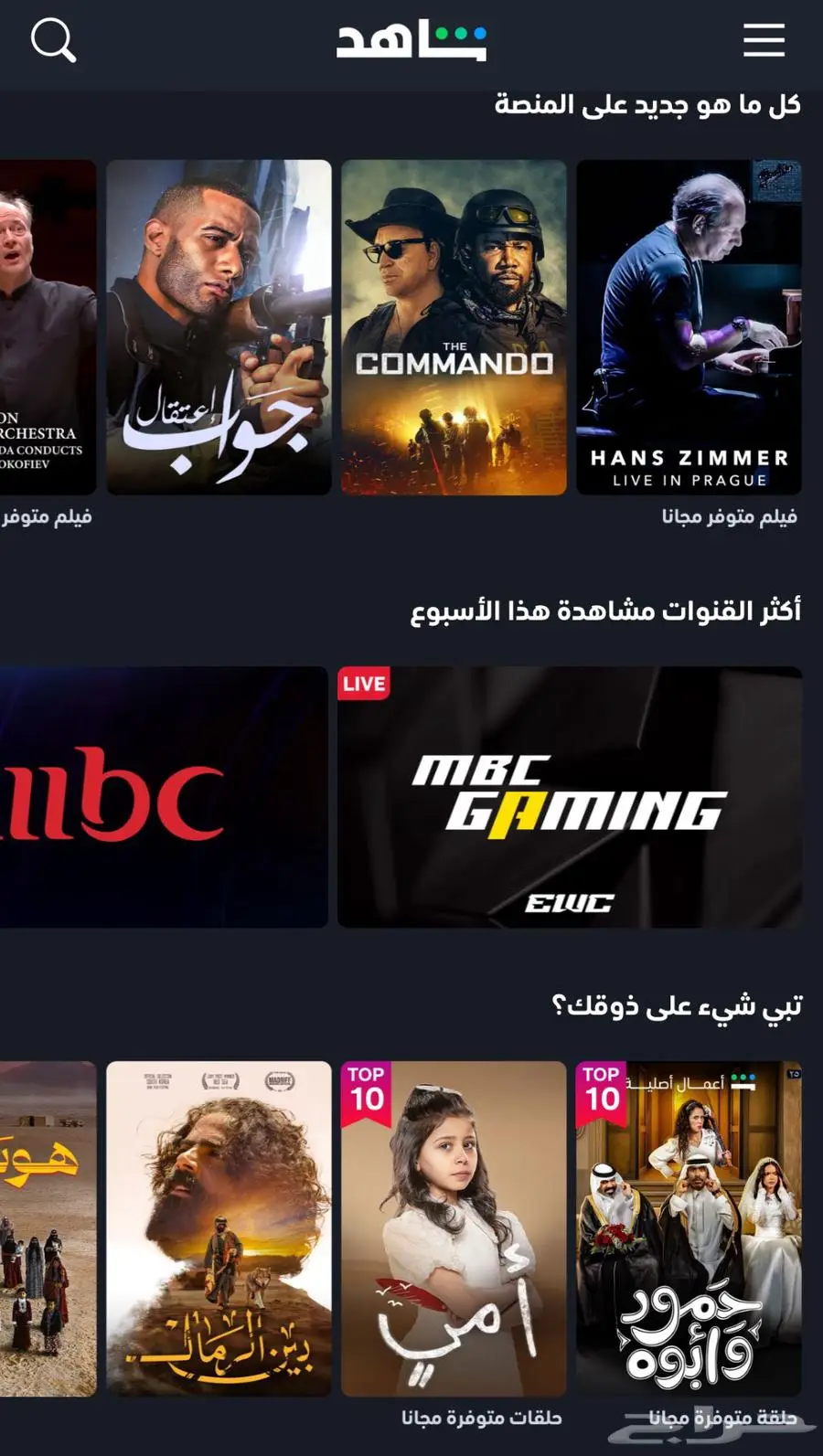 مورد اشتراكات نتف-لكس و شا-هد و ديز-ني و يوت-يوب 2