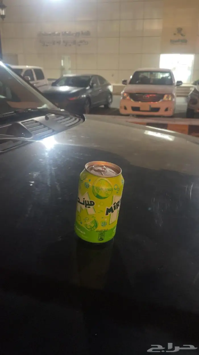 حمضيات للبيع 1