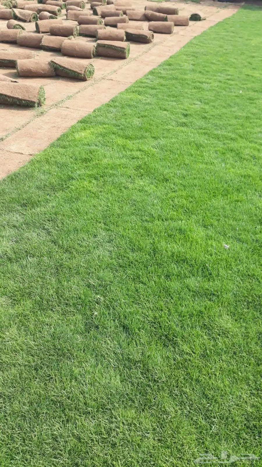 للتوصيل نجيله طبيعيه 3