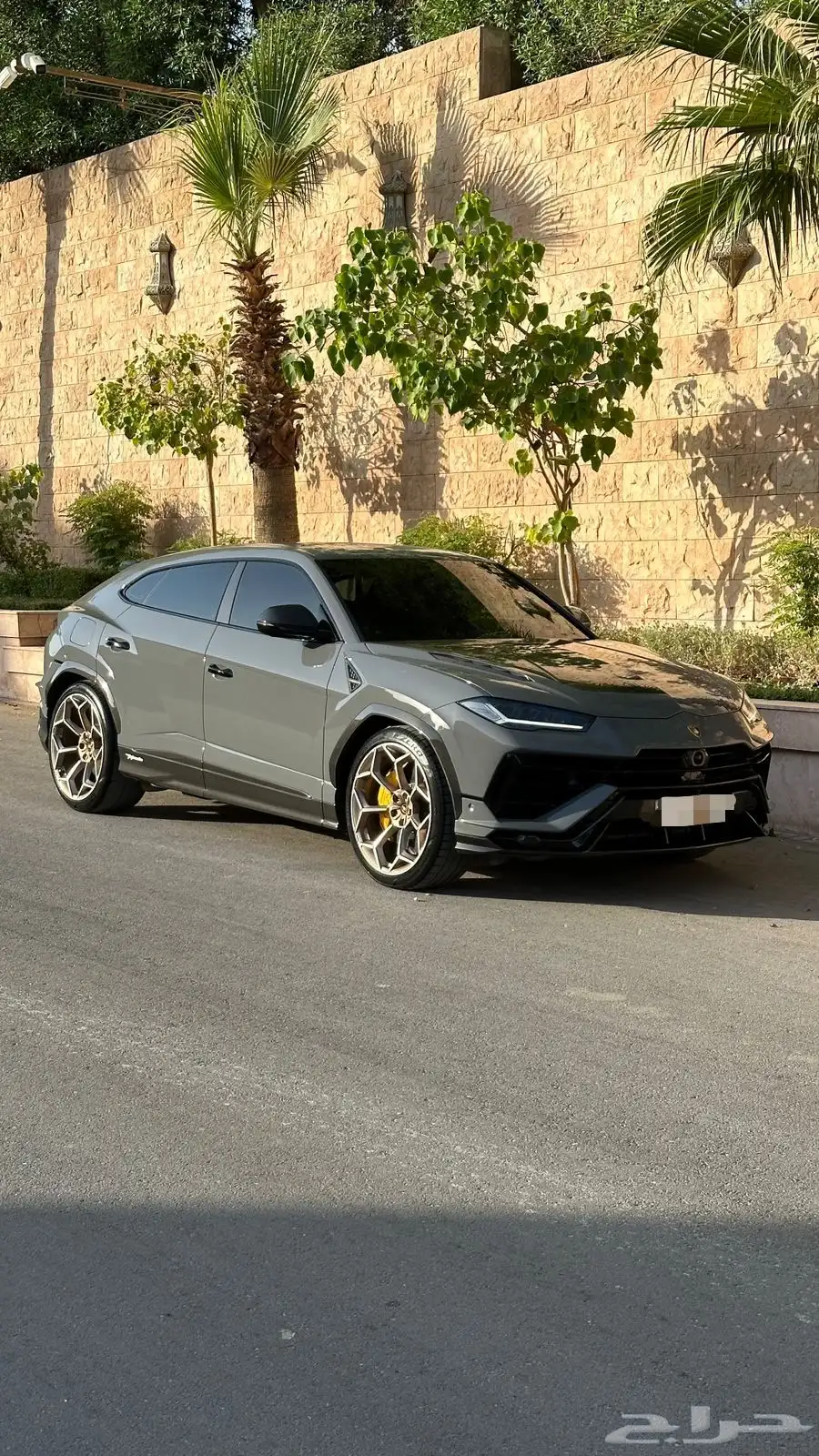 لمبرقيني اورس Performante 2023 index