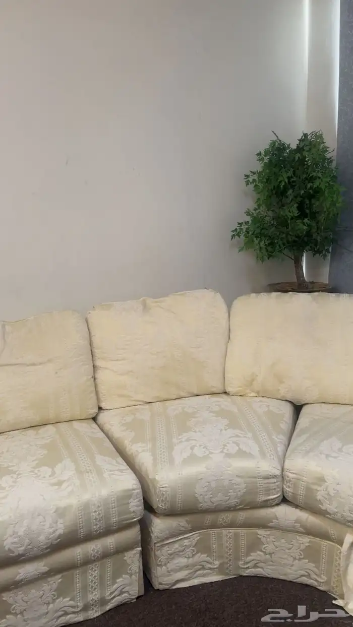كنب من بيت الأنصاري 1