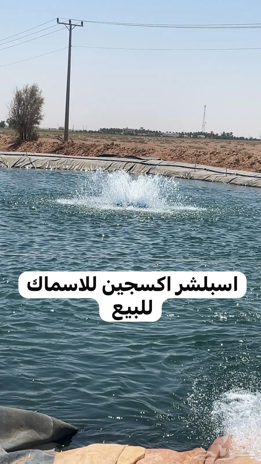 اسبلشر نافورة اكسجين لبرك الاسماك 0