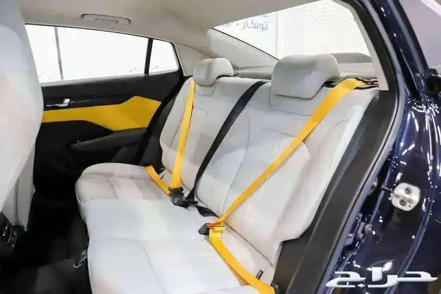 دونج فينج شاين e1 و e2 2025 8